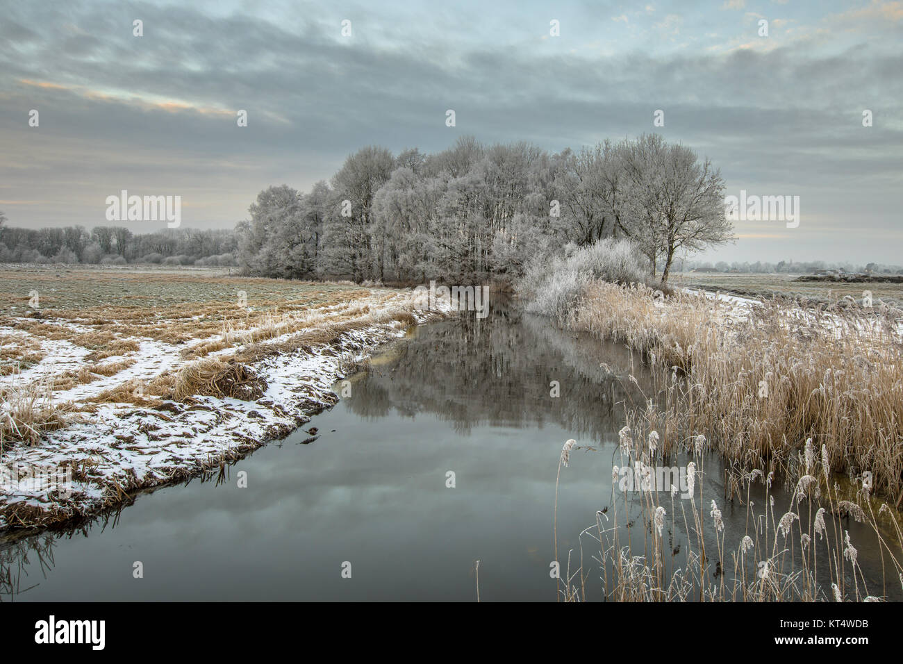 Panorama der gefrorene Fluss Drentsche Aa im nördlichen Teil der Provinz Drenthe in den Niederlanden an einem kalten Morgen Stockfoto