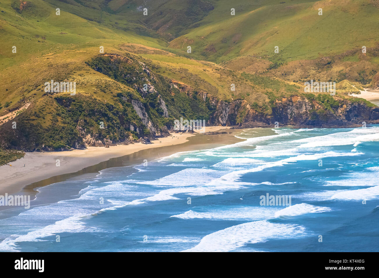 Detail der Otago Peninsula Küste in der Nähe von Dunedin, Neuseeland Stockfoto