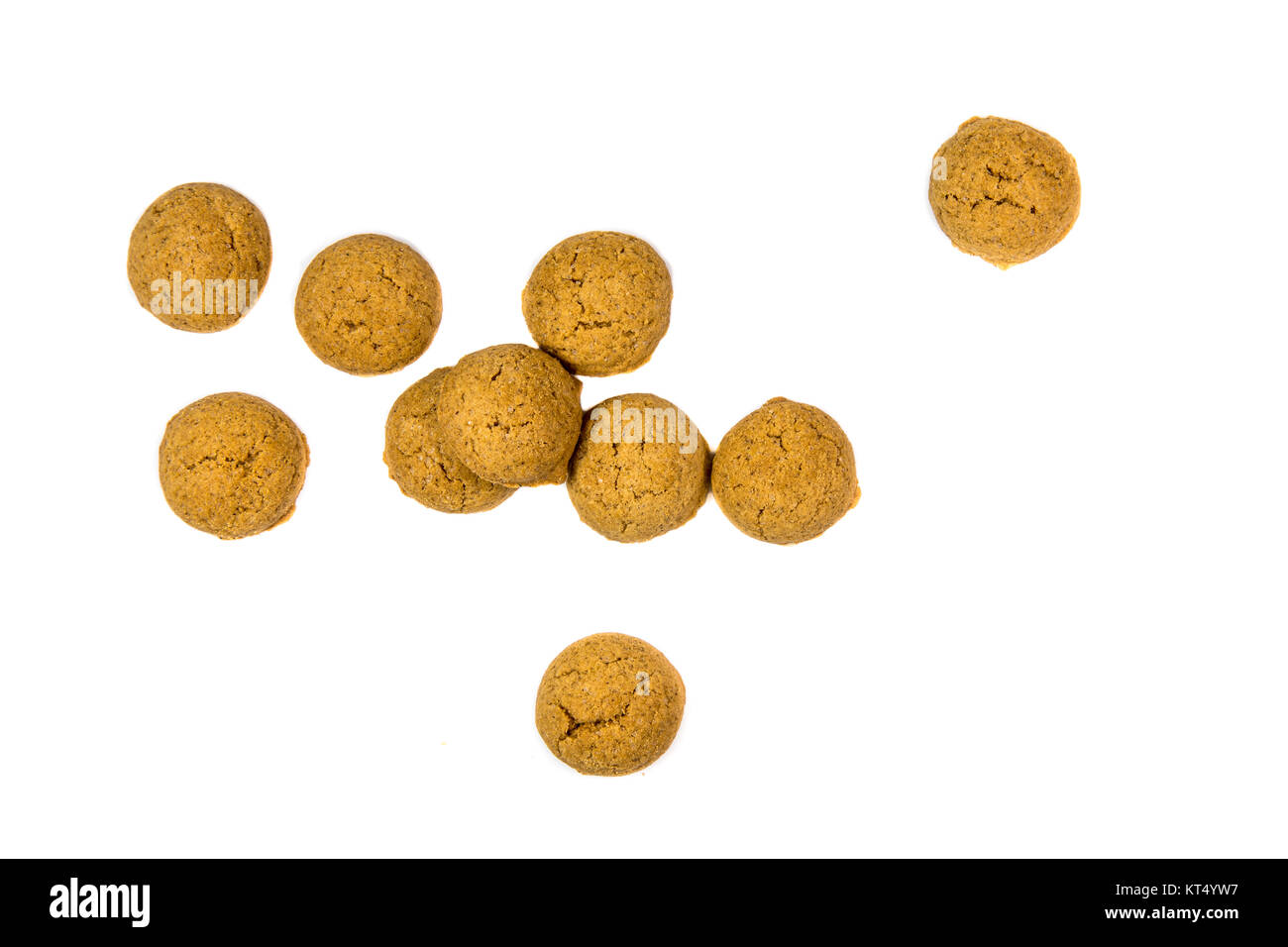Menge zerstreut Pepernoten Cookies von oben als Sinterklaas Dekoration auf weißem Hintergrund für niederländische sinterklaasfeest Urlaub Veranstaltung im Dezember Stockfoto