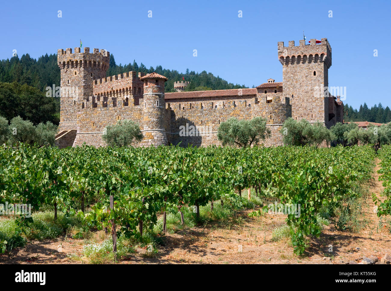 Napa Valley Weinberg und Schloss Stockfoto