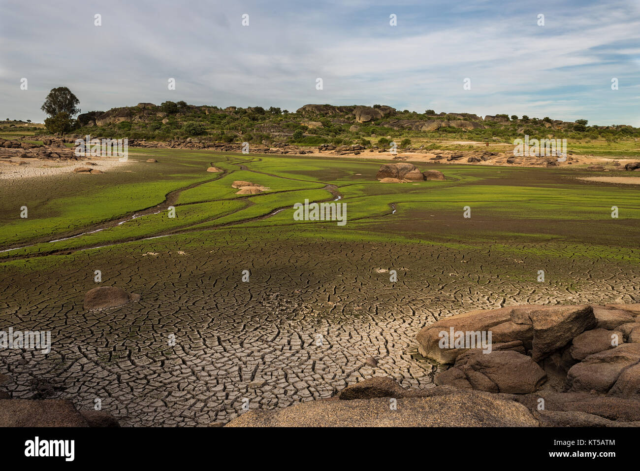 Natürliche Umgebung Los Barruecos. Malpartida de Cáceres. Der Extremadura. Spanien. Stockfoto