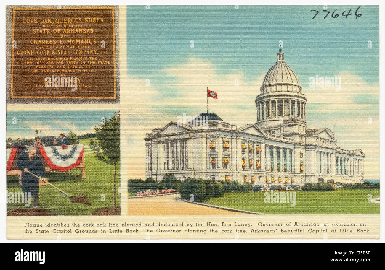 Eine Gedenktafel erinnert an die Korkeiche, die von Ben Laney, Gouverneur von Arkansas, während einer Zeremonie auf dem Gelände des State Capitol in Little Rock gepflanzt wurde. Der Baum symbolisiert ein historisches Ereignis. Stockfoto