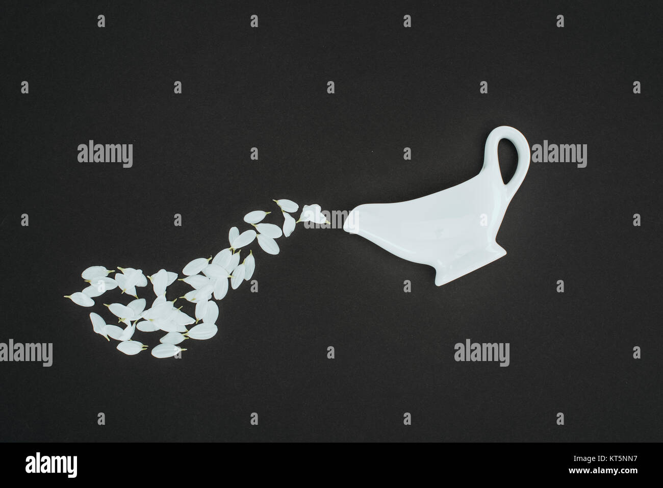 Blick von oben auf die Teekanne mit weißen Blütenblättern isoliert auf Schwarz Stockfoto