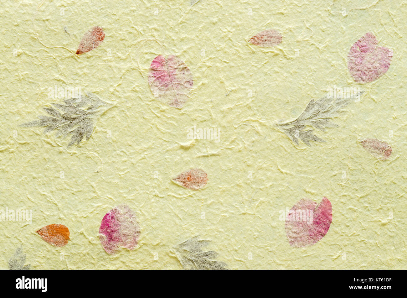 Gelbe Maulbeerpapier mit Blütenblatt und Blatt Textur Hintergrund. Stockfoto