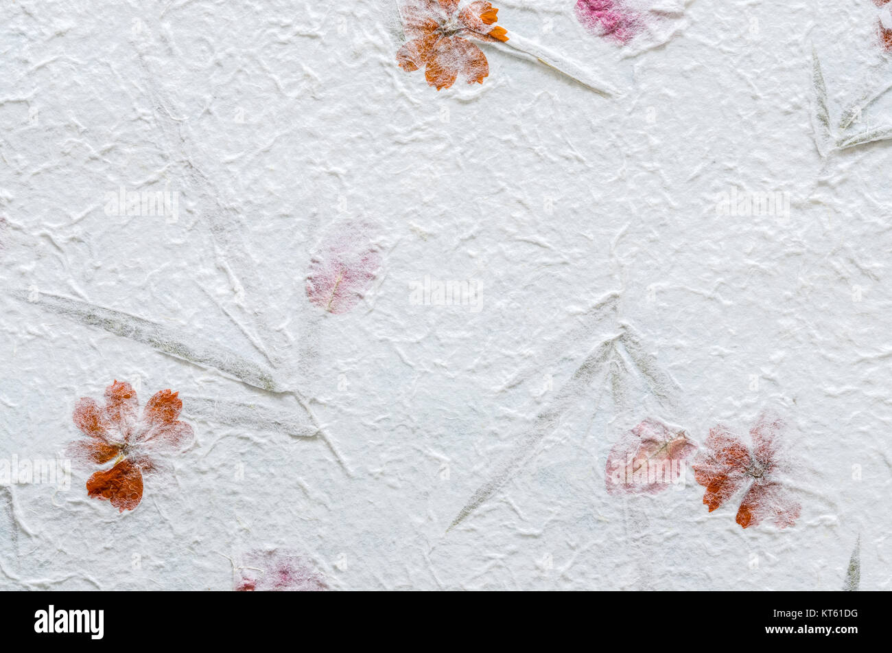 Weiß Maulbeerpapier mit Blütenblatt und Blatt Textur Hintergrund. Stockfoto