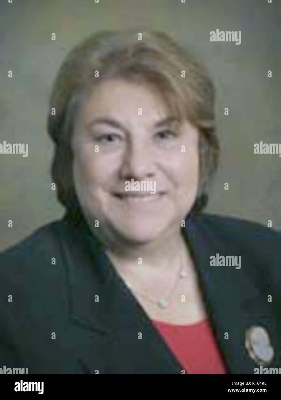 Elaine Schwartz war von 2006 bis 2014 demokratisches Mitglied des Repräsentantenhauses von Florida und vertrat den District 99, der den Großteil Hollywoods im südlichen Broward County umfasst. Geboren am 13. April 1943 in New York City, erwarb sie ihren BA in Geschichte an der Hofstra University und einen Juris Doctor an der NYU School of Law. Vor ihrer Legislativkarriere arbeitete Schwartz als Rechtsanwältin bei der Federal Reserve Bank of New York und war Assistant City Attorney in Hollywood, Florida. Stockfoto