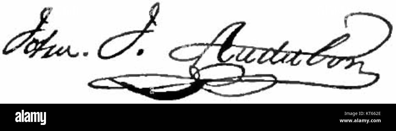 The Appletons' Audubon, mit der Signatur von John James Audubon, ist eine Publikation, die Audubons ikonische Werke über die amerikanische Tierwelt hervorhebt. Seine Beiträge zur Ornithologie und natürlichen Illustration werden mit diesem Stück gefeiert. Stockfoto