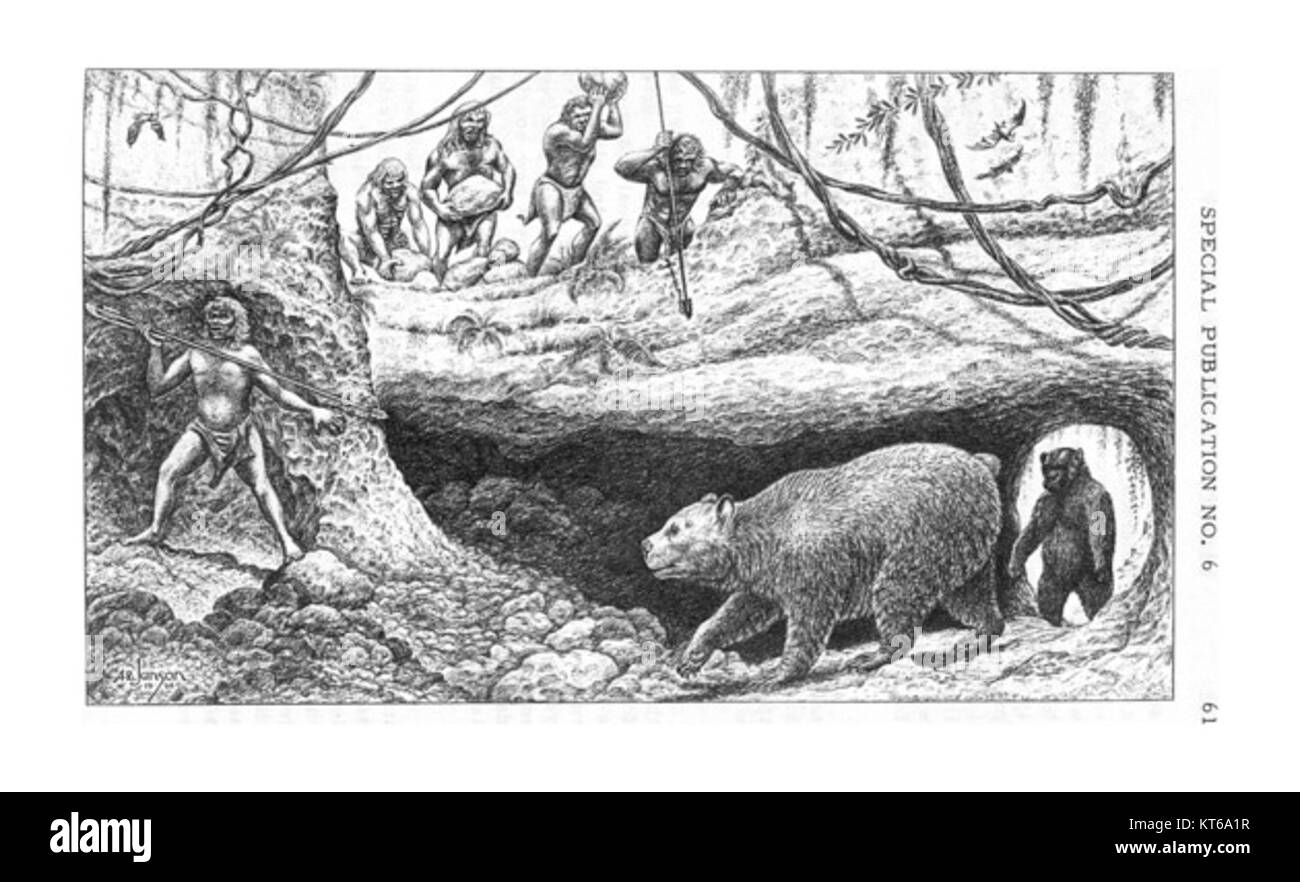 Das Bild zeigt einen Mann, der mit einem Bären interagiert und eine Beziehung zwischen Mensch und Tier symbolisiert. Die Szene zeigt die Stärke und das Geheimnis, die oft mit Bären in der Natur verbunden sind. Stockfoto