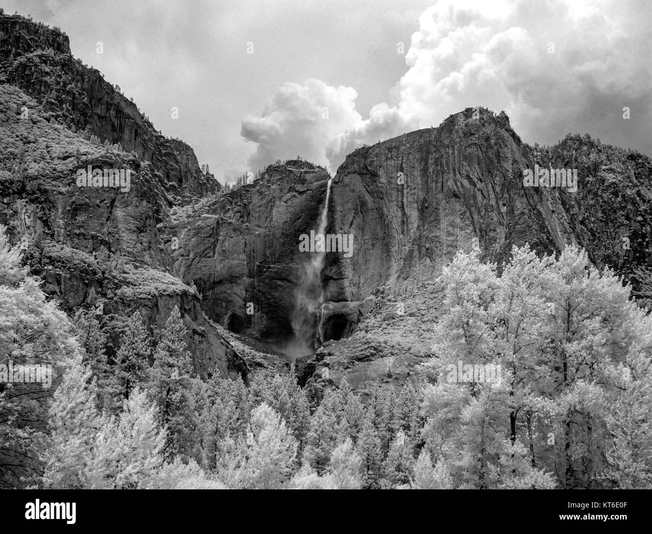 Der Yosemite-Nationalpark, der von Carol M. Highsmith erobert wurde, zeigt die atemberaubende natürliche Schönheit des Parks, einschließlich seiner dramatischen Landschaften, majestätischen Granitklippen und vielfältigen Ökosystemen. Stockfoto