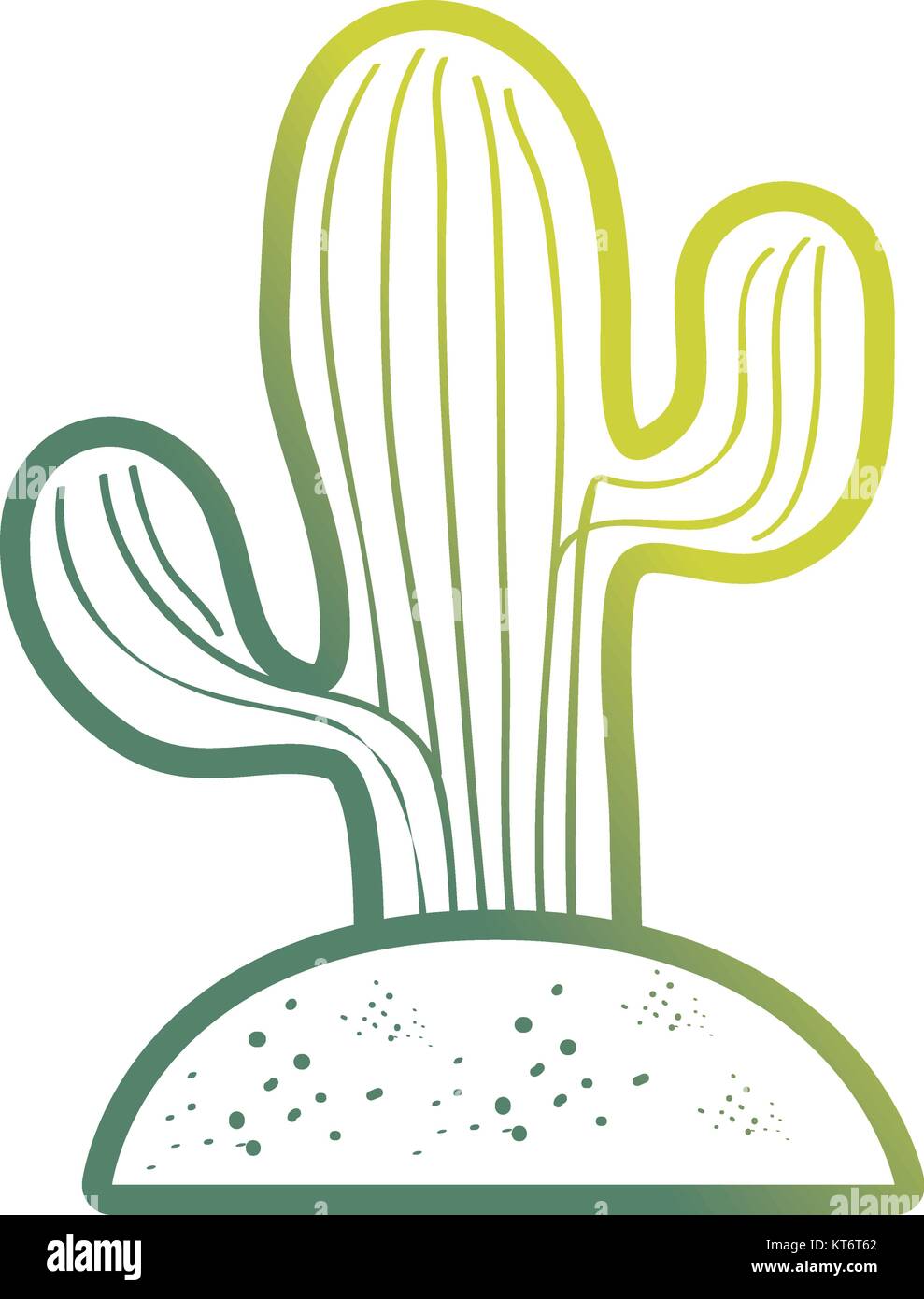 kaktus meinerzhagen Hasenohrenkaktus - Opuntia microdasys