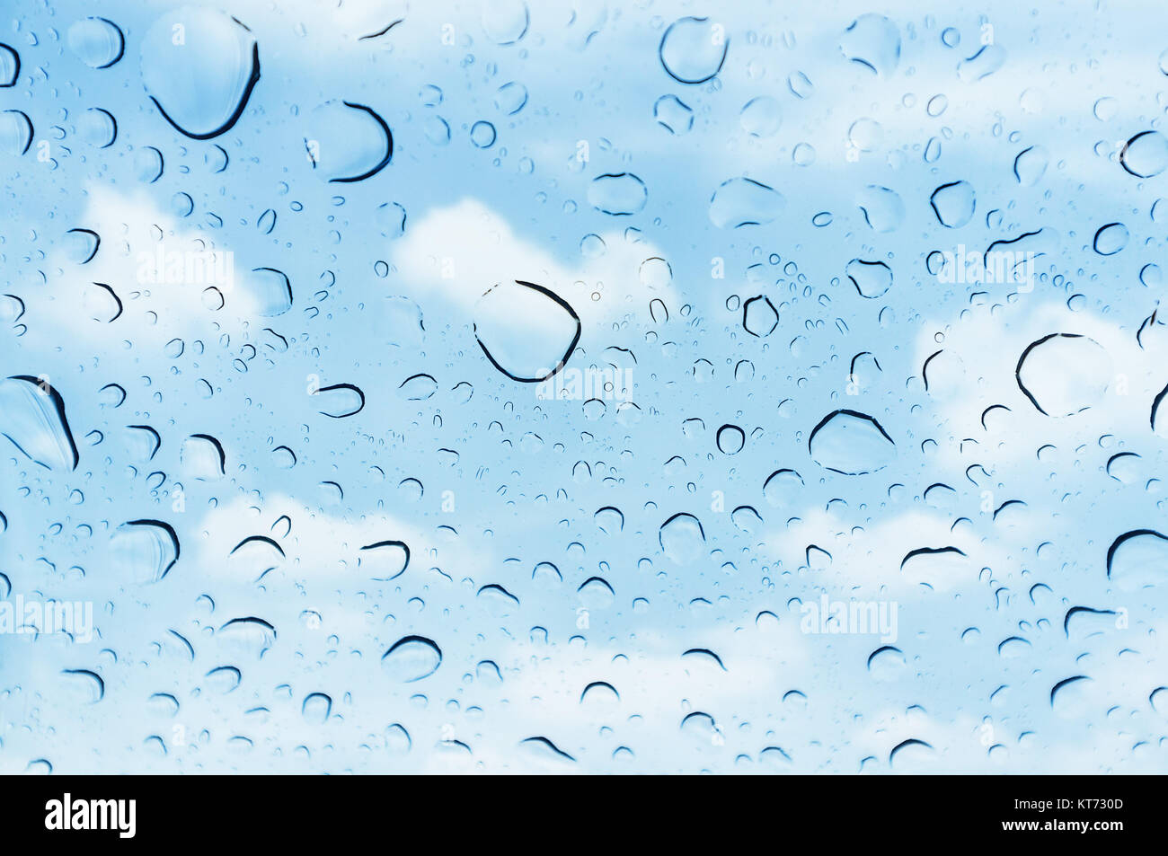 Tropfen Regen auf Glas, Regen fällt auf klares Fenster. Stockfoto