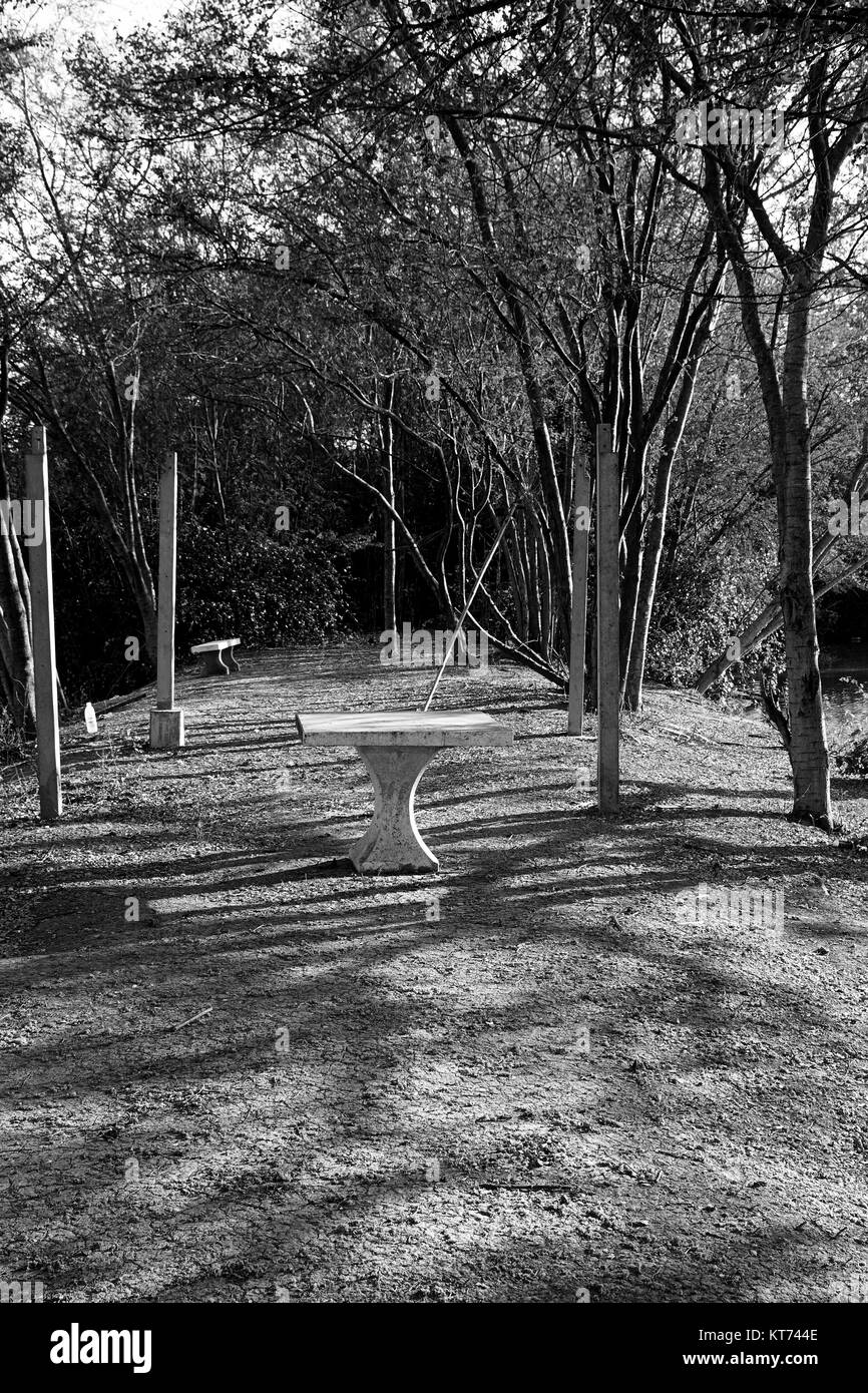 Wald Tabelle Shadow romantische Entspannung Landschaft schwarz weiß Stockfoto