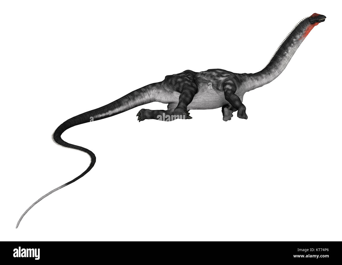 3D-Rendering Dinosaurier Apatosaurus auf Weiß Stockfoto