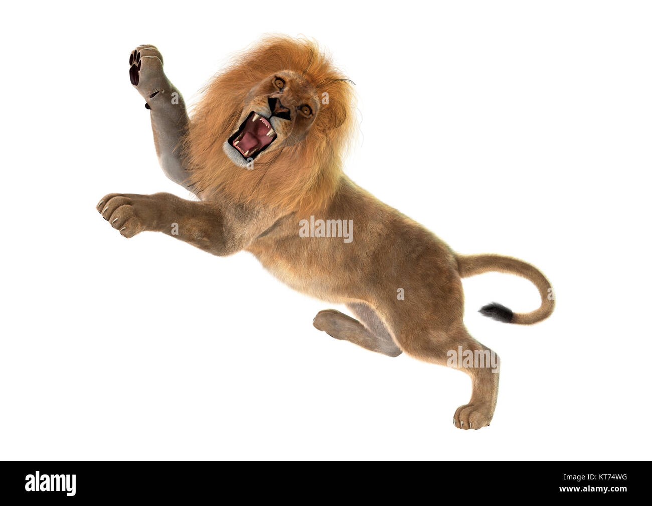 3D-Rendering Männliche Löwe auf Weiß Stockfoto