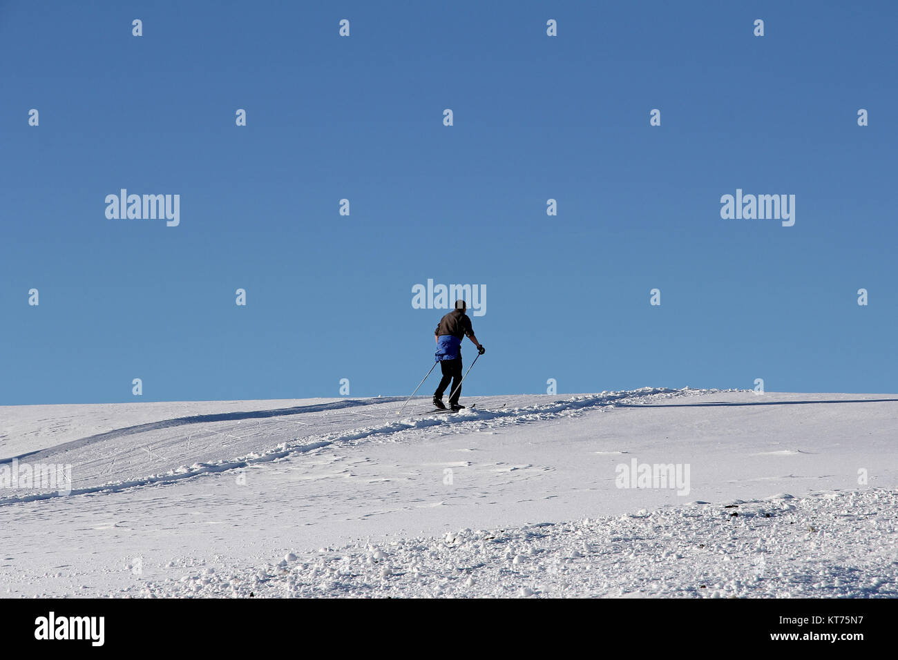 Langläufer im Winter gegen den blauen Himmel. Langlaufen ist ein beliebter Wintersport Stockfoto