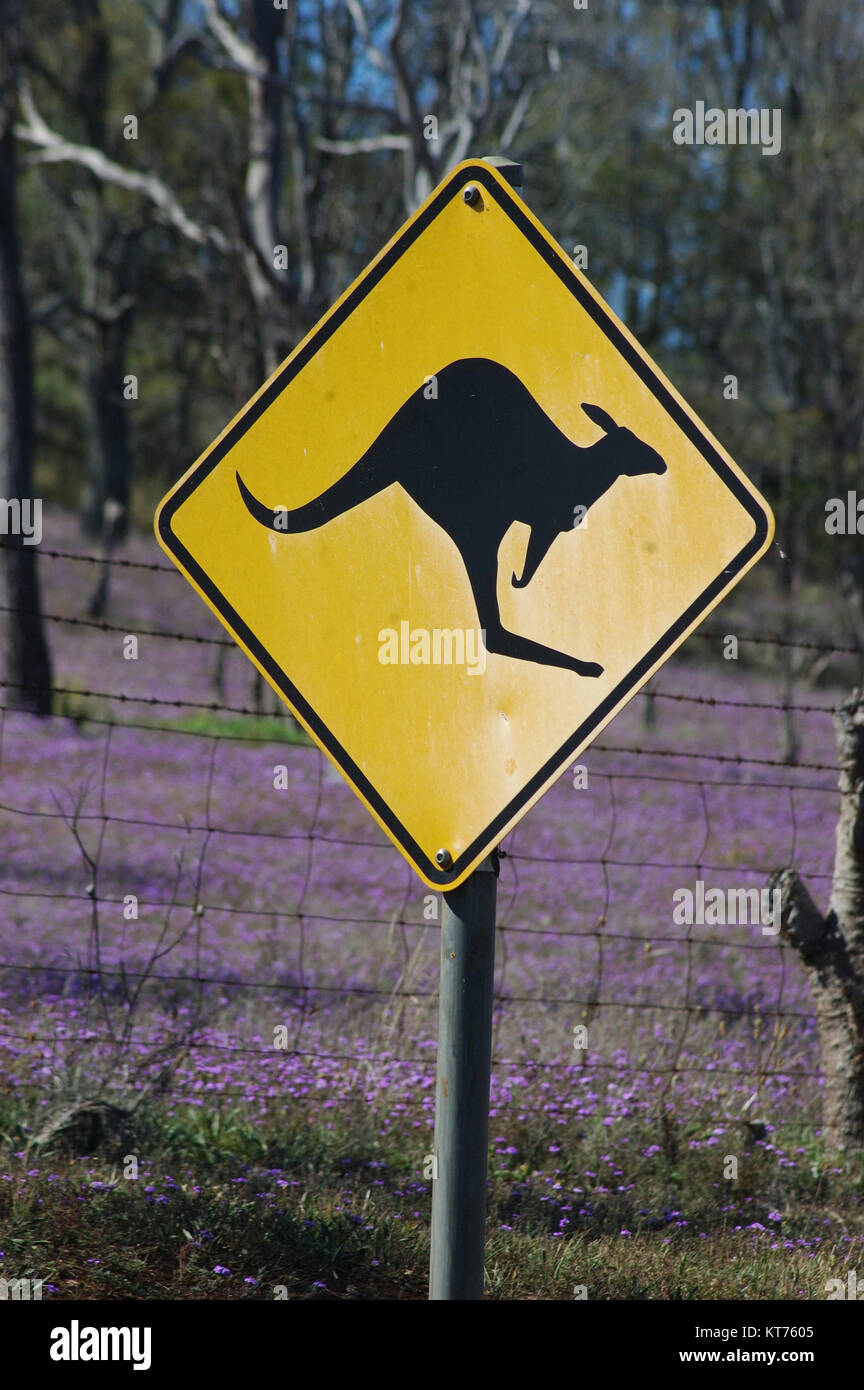 Zeichen für Kangaroo crossing in Australien Stockfoto