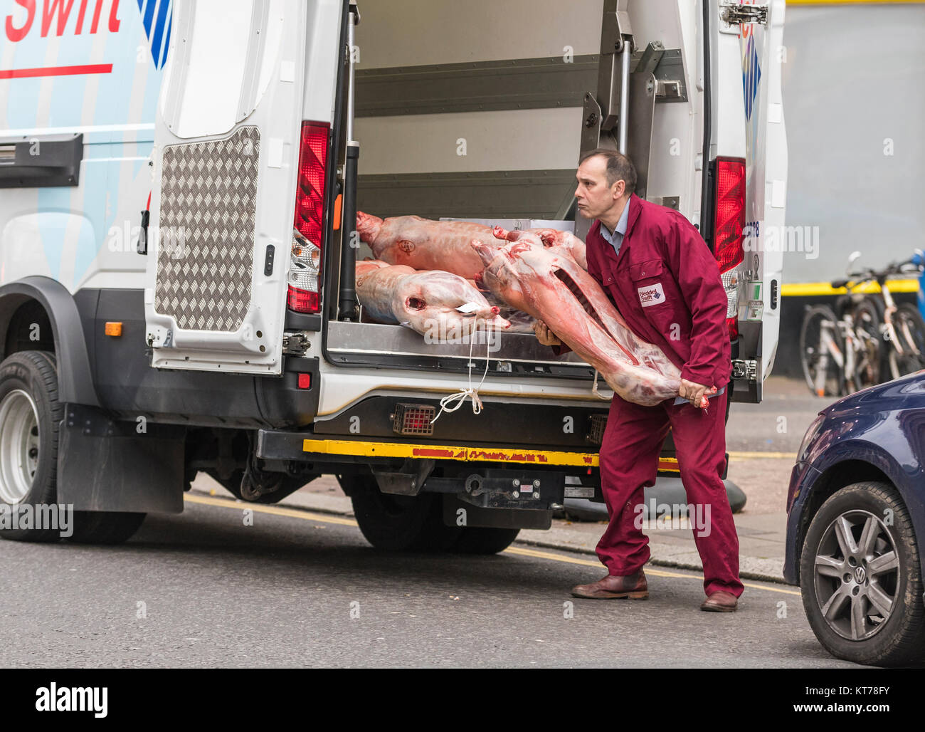Mann entladen toten Tierkörpern von einem Van für einen Metzger Shop in England, Großbritannien. Fleisch Lieferung. Die Bereitstellung von Fleisch. Stockfoto