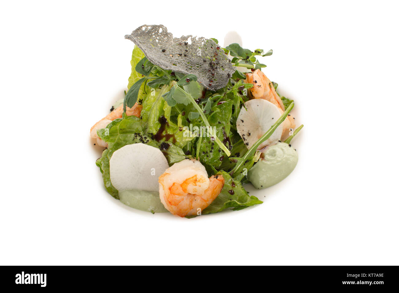 Eine schöne dienen der Meeresfrüchte Salat, grüne Blätter und Sauce, Nahaufnahme, auf einem isolierten Hintergrund Stockfoto