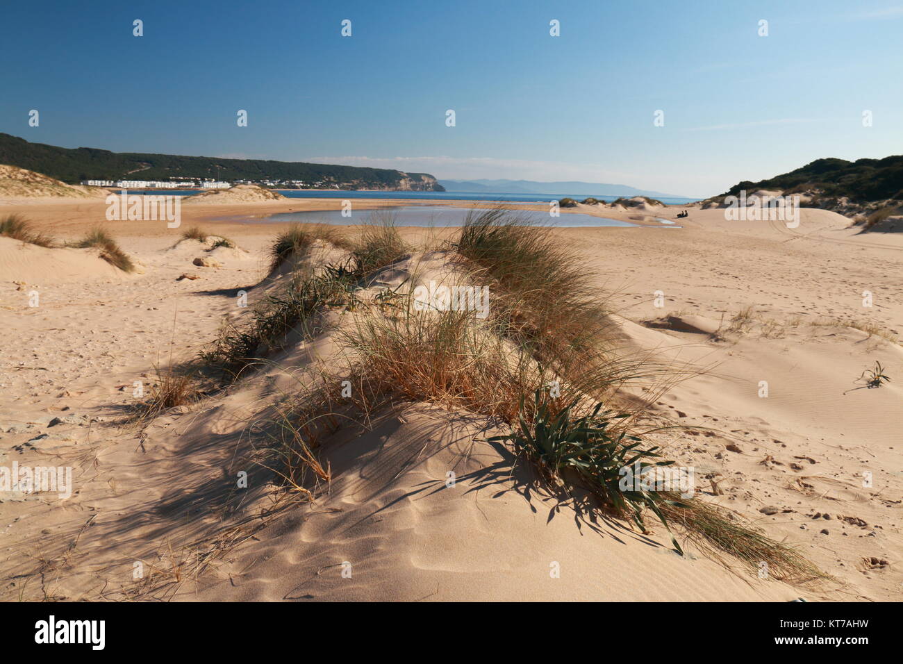 Düne auf der menschenleeren Strand von Caños de Meca, an der Küste von Andalusien, Südspanien Stockfoto