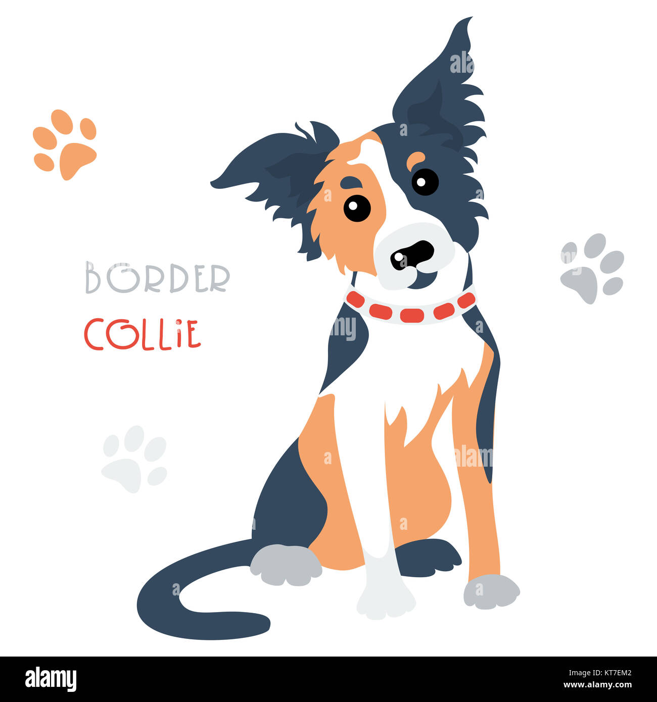 Vektor lustig Border Collie dog sitting Trikolore Stockfoto