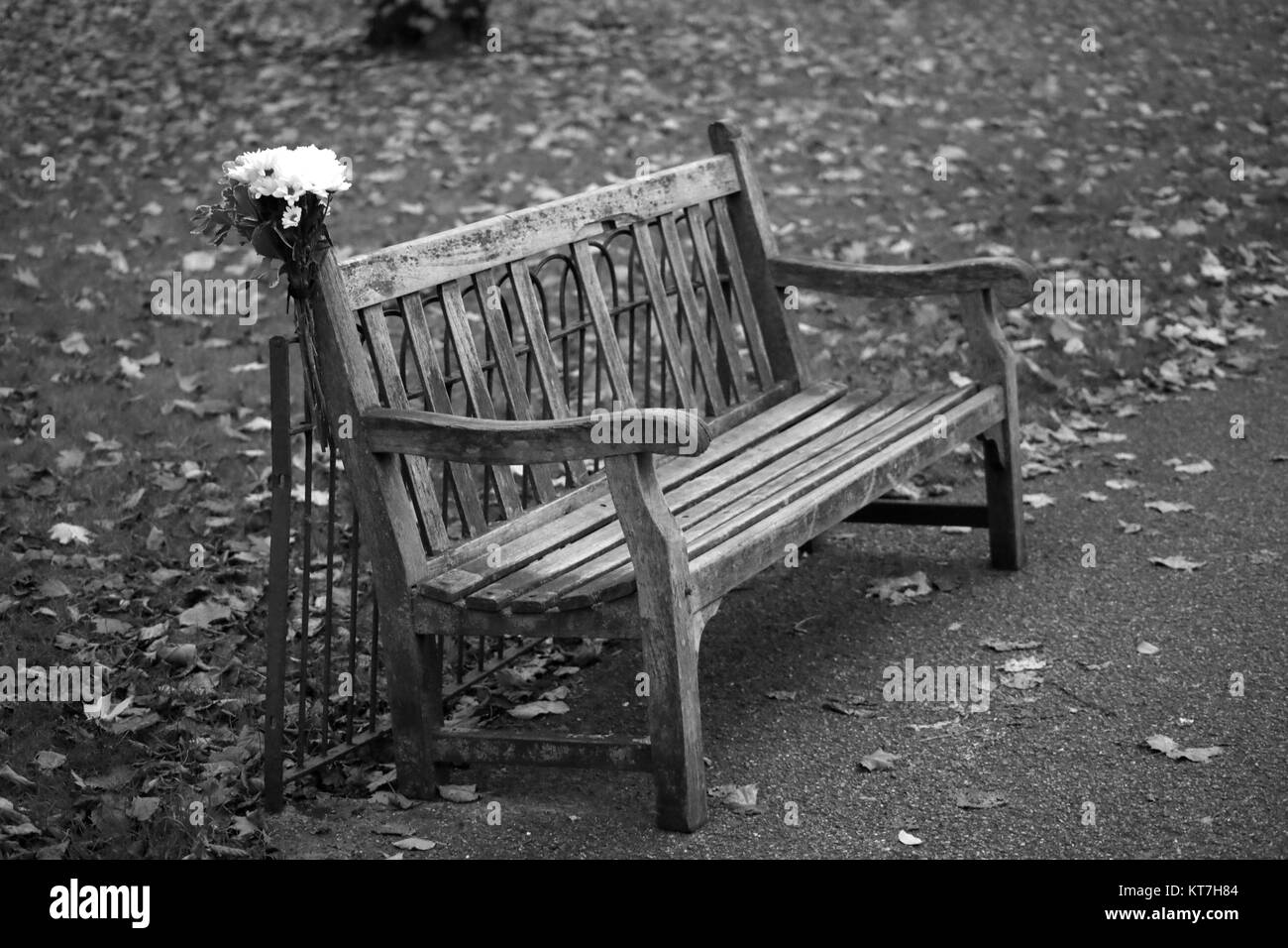 Hyde Park, London, UK Stockfoto