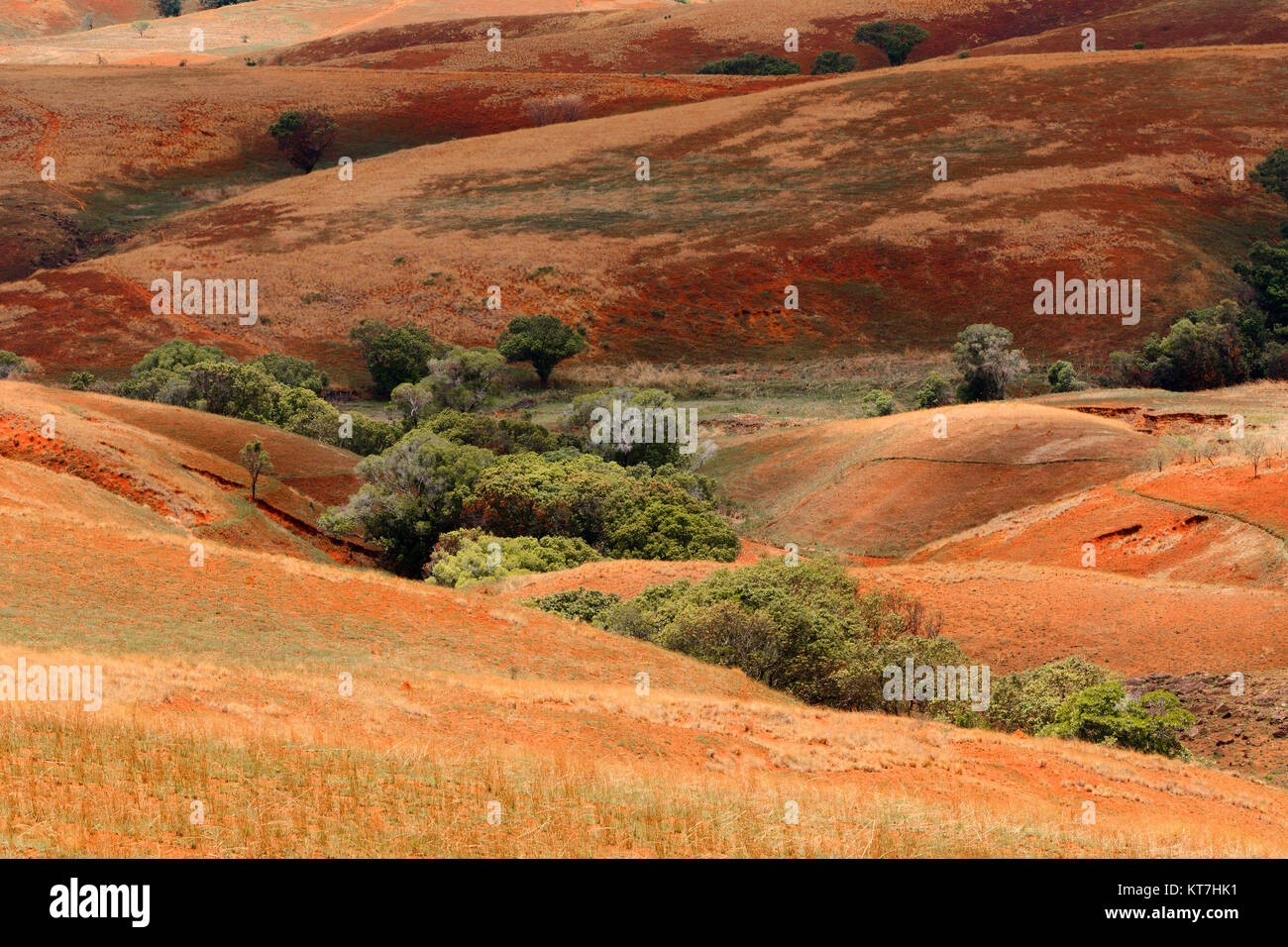 Madagaskar Landschaft highland Landschaft Stockfoto