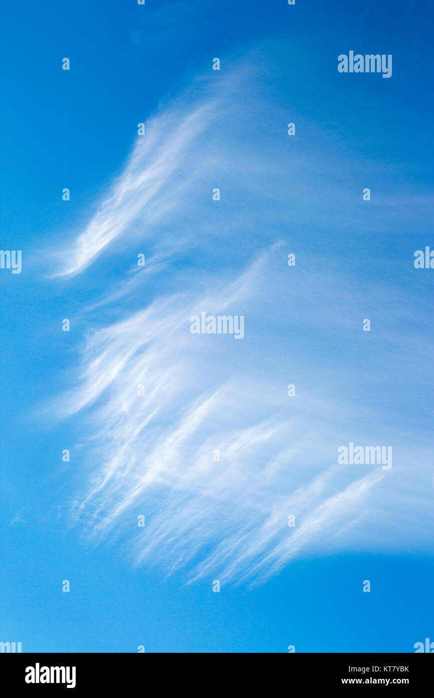 Wispy Cirruswolken am blauen Himmel Stockfoto