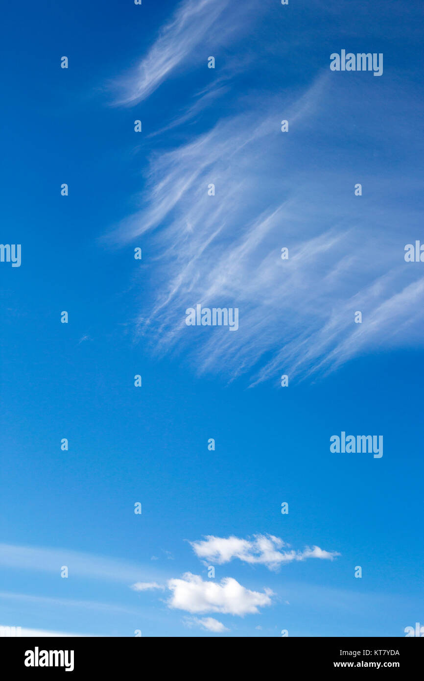 Cirrus über Cumuluswolken am blauen Himmel in den kanadischen Prärien Stockfoto
