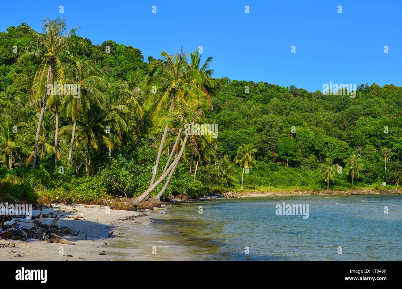Wilden Strand mit Kokospalmen auf der Insel Phu Quoc, Provinz Kien Giang, Vietnam. Stockfoto