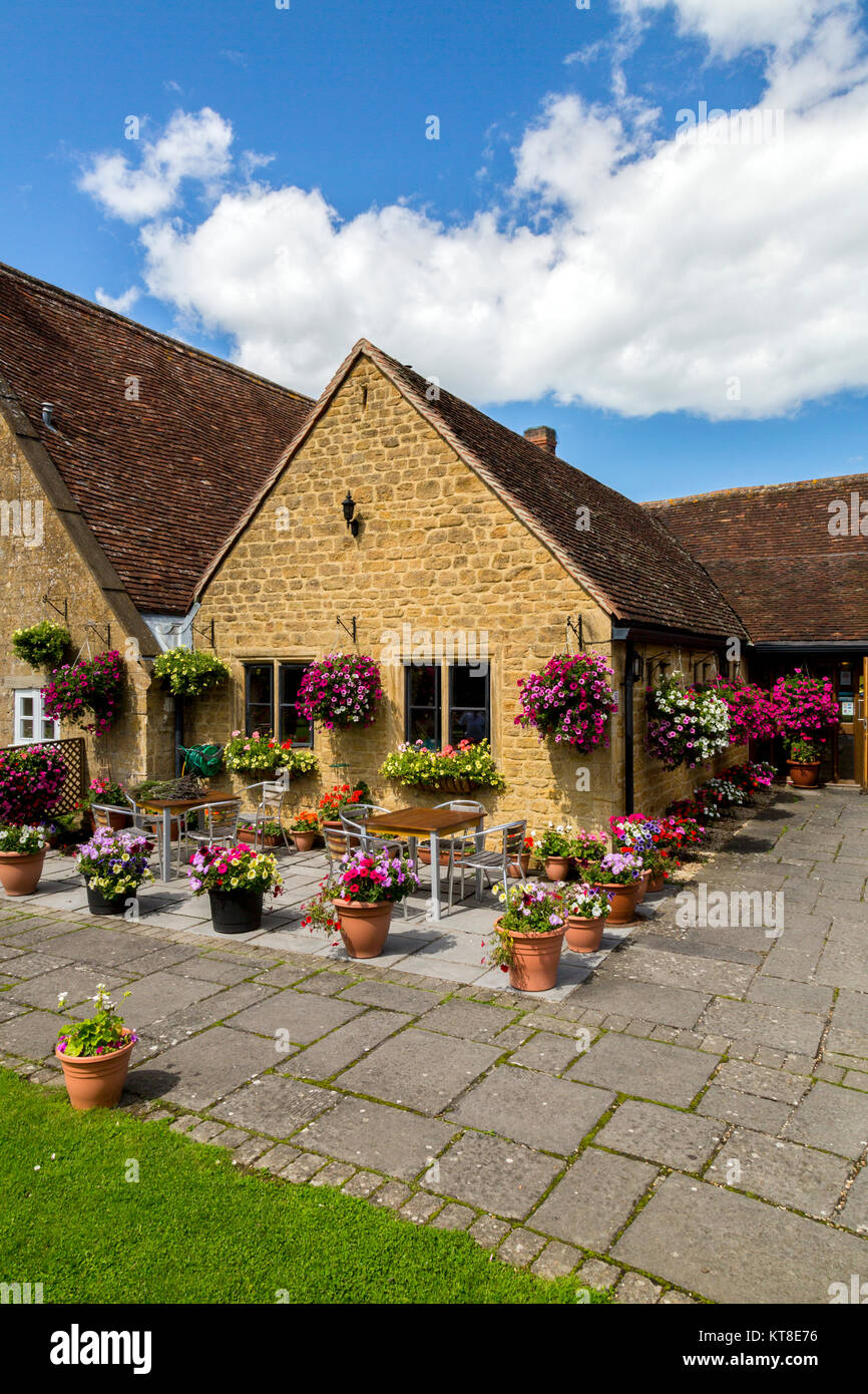 Die prächtigen und farbenfrohen Blumen hängende Körbe und Wannen außerhalb der Rose und Crown Inn at East Lambrook, Somerset, England, Großbritannien Stockfoto