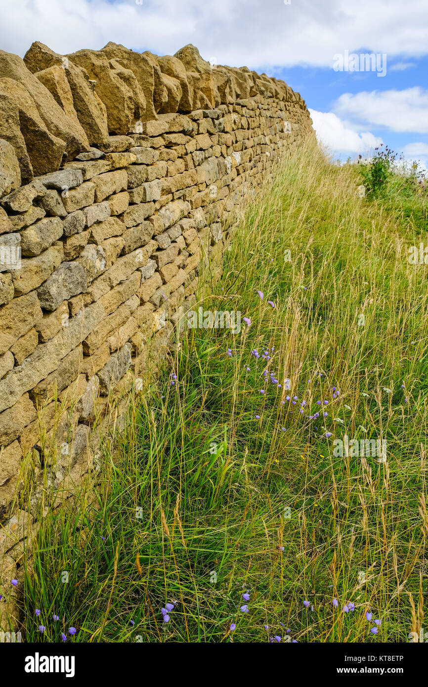 Cotswold Stone Wall, neben dem Cotswold Way, folgt den Konturen der Hügel, Broadway Tower, in der Nähe von Broadway, die Cotswolds, England Stockfoto