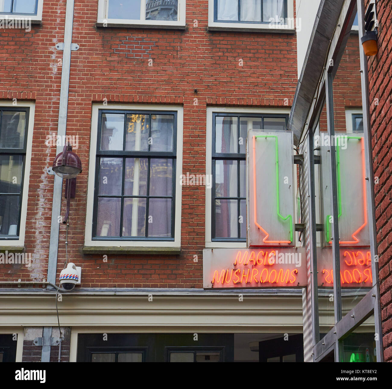 Magic Mushrooms in der Red Light District (De Wallen), Amsterdam, Niederlande. Stockfoto