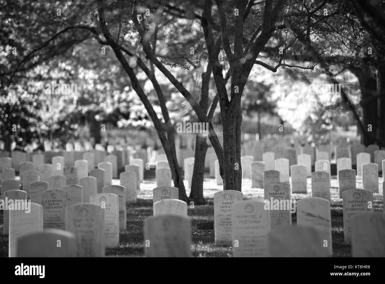 § 51 Arlington National Cemetery, Arlington, Virginia, 16. November, 2017. (U.S. Armee Foto von Elizabeth Fraser/Arlington National Cemetery/freigegeben) Stockfoto