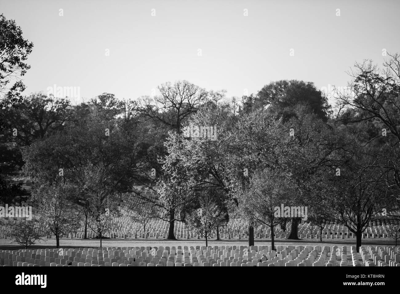 Arlington National Cemetery, Arlington, Virginia, 16. November, 2017. (U.S. Armee Foto von Elizabeth Fraser/Arlington National Cemetery/freigegeben) Stockfoto