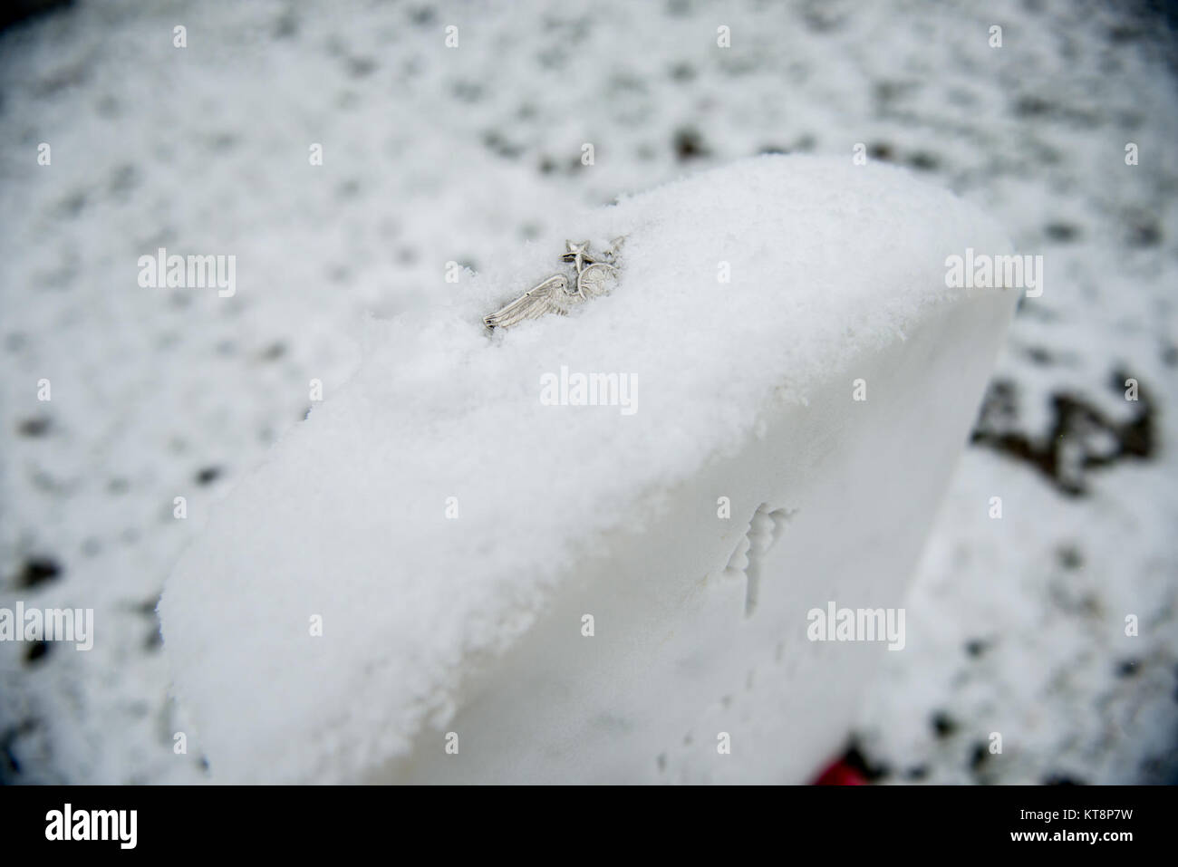 Schnee fällt auf dem Arlington National Cemetery, Arlington, Virginia, Dez. 9, 2017. (U.S. Armee Foto von Elizabeth Fraser/Arlington National Cemetery/freigegeben) Stockfoto