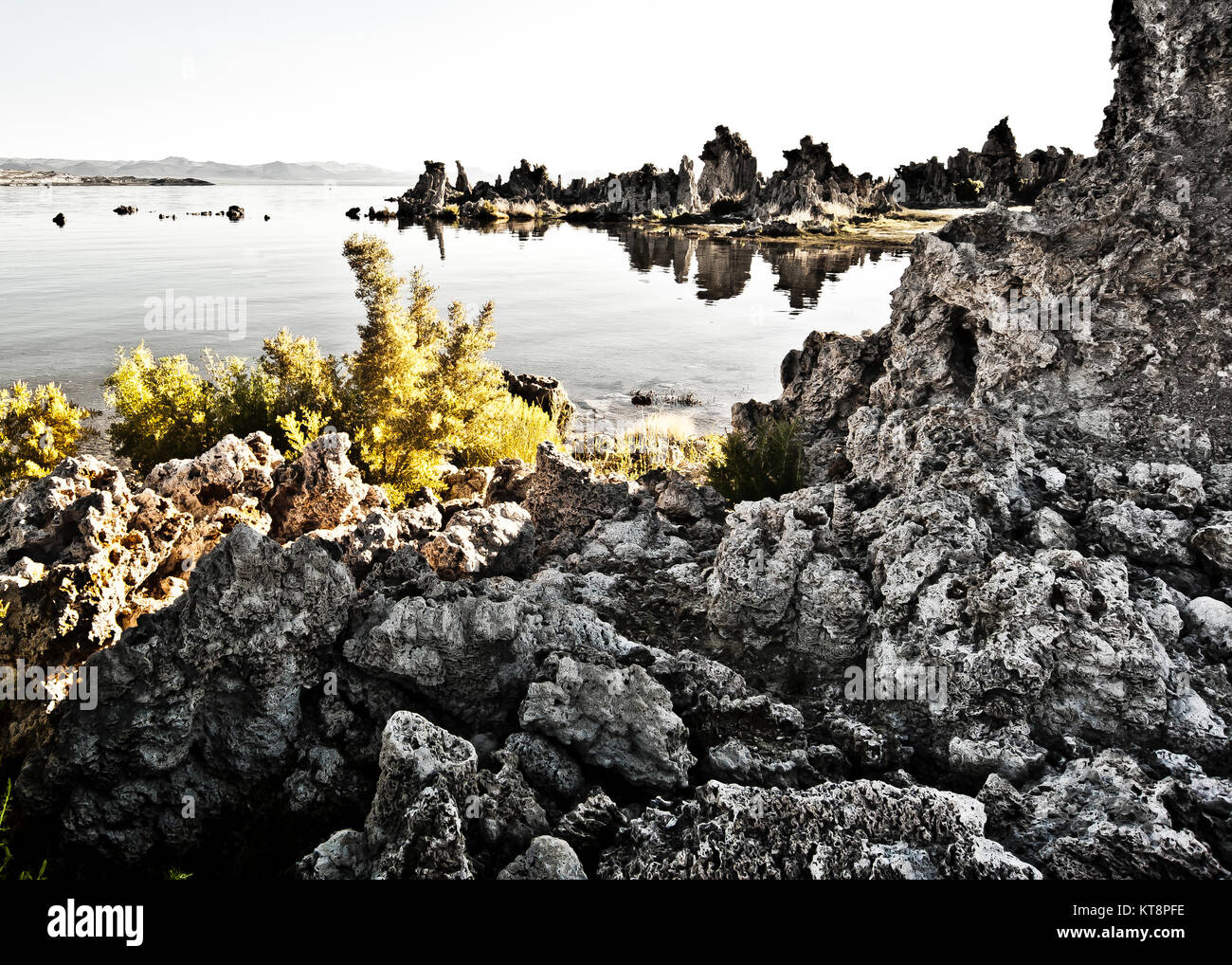 Mono Lake mit Tuffstein Spitzen von Calciumcarbonat Mono Lake Tufa State Reserve California State Western US Stockfoto