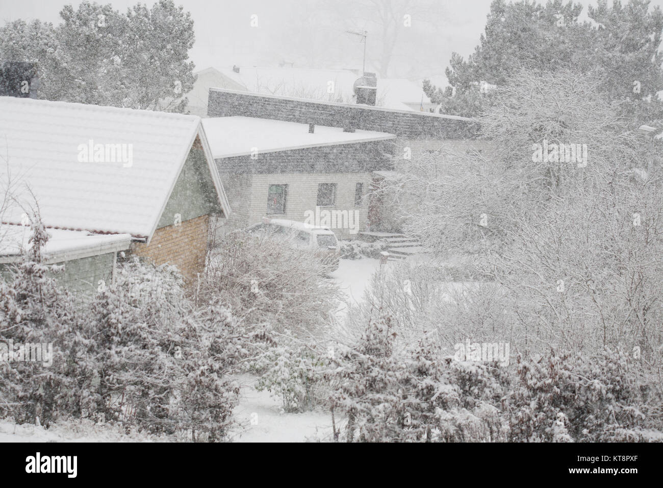 Schneesturm über vorstadt Villen 2017 Stockfoto