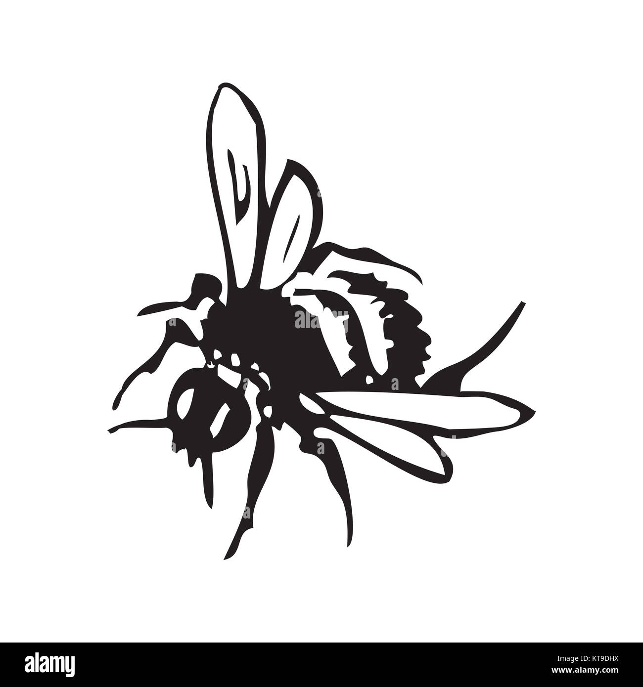 Vektor Gravur antike Abbildung: Honig flying Bee, Isola Stockfoto