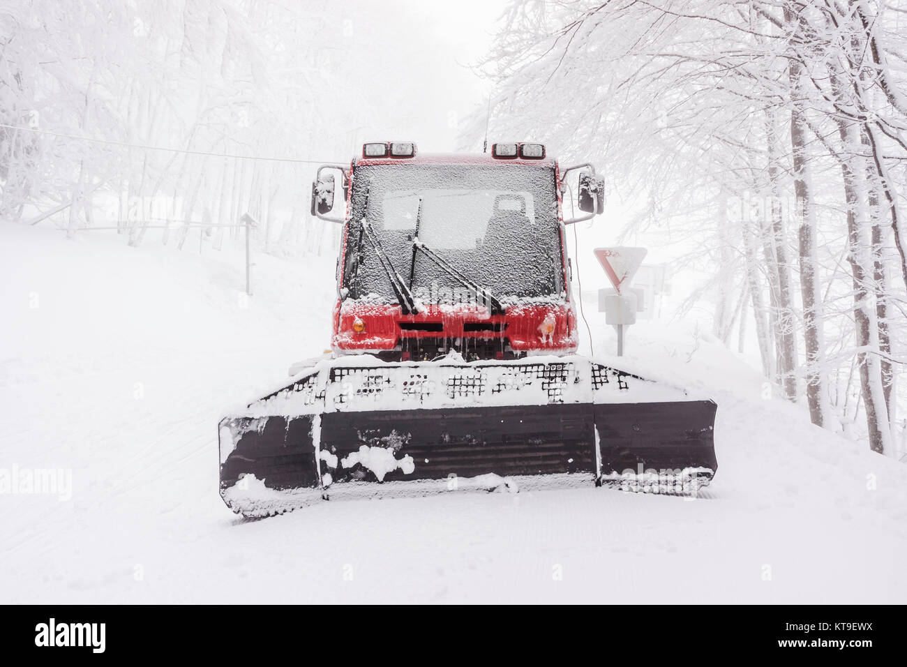 Vorderansicht eines Schnee im Winter Pflug an einem nebligen Tag, Vogesen, Frankreich. Stockfoto