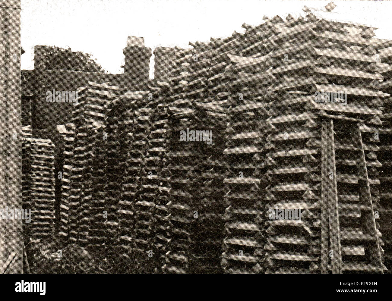 "Leerzeichen" oder "rough Blades warten in Cricket bats in einem kleinen Sussex (UK) Fabrik 1932. Stockfoto