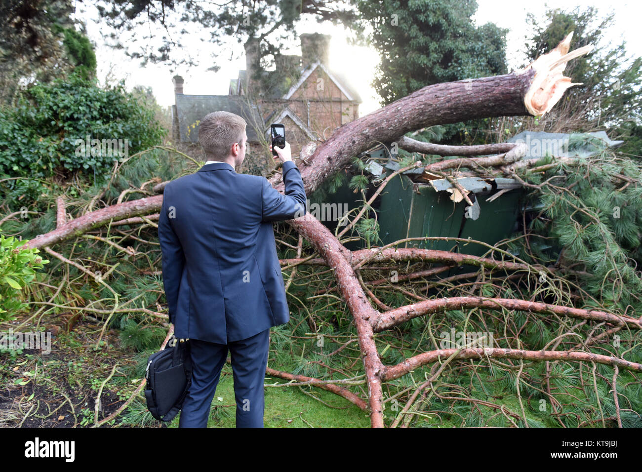 Versicherungen Loss Adjuster Aufzeichnung von Details von Schäden durch einen umgestürzten Baum auf einem Nachbarn Unterkunft Großbritannien Großbritannien Stockfoto