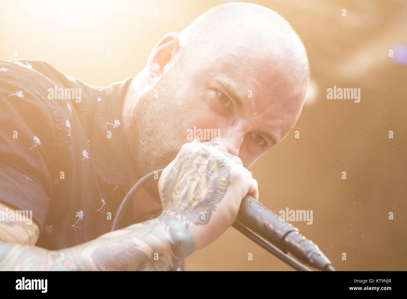 Der amerikanische christliche Metalcore-Band August Burns Red führt ein Live Konzert in der dänischen Heavy Metal Festival Copenhell 2016 in Kopenhagen. Hier Sänger Jake Luhrs wird gesehen, live auf der Bühne. Dänemark, 23/06 2016. Stockfoto