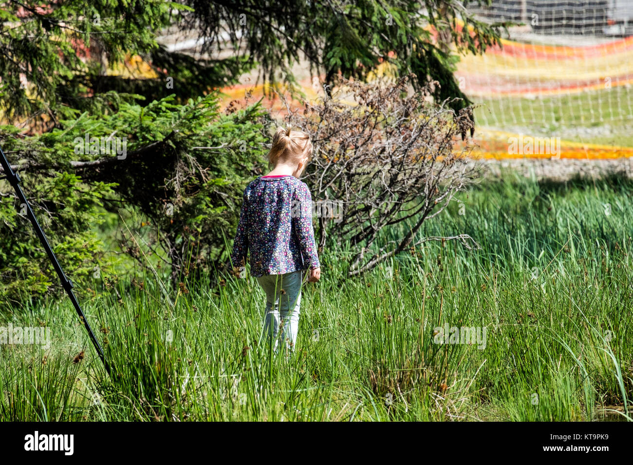 Kleines Mädchen ist Wandern im hohen Gras. Zurück zu gehen (Ukraine, Karpaten, Dragobrat) Stockfoto