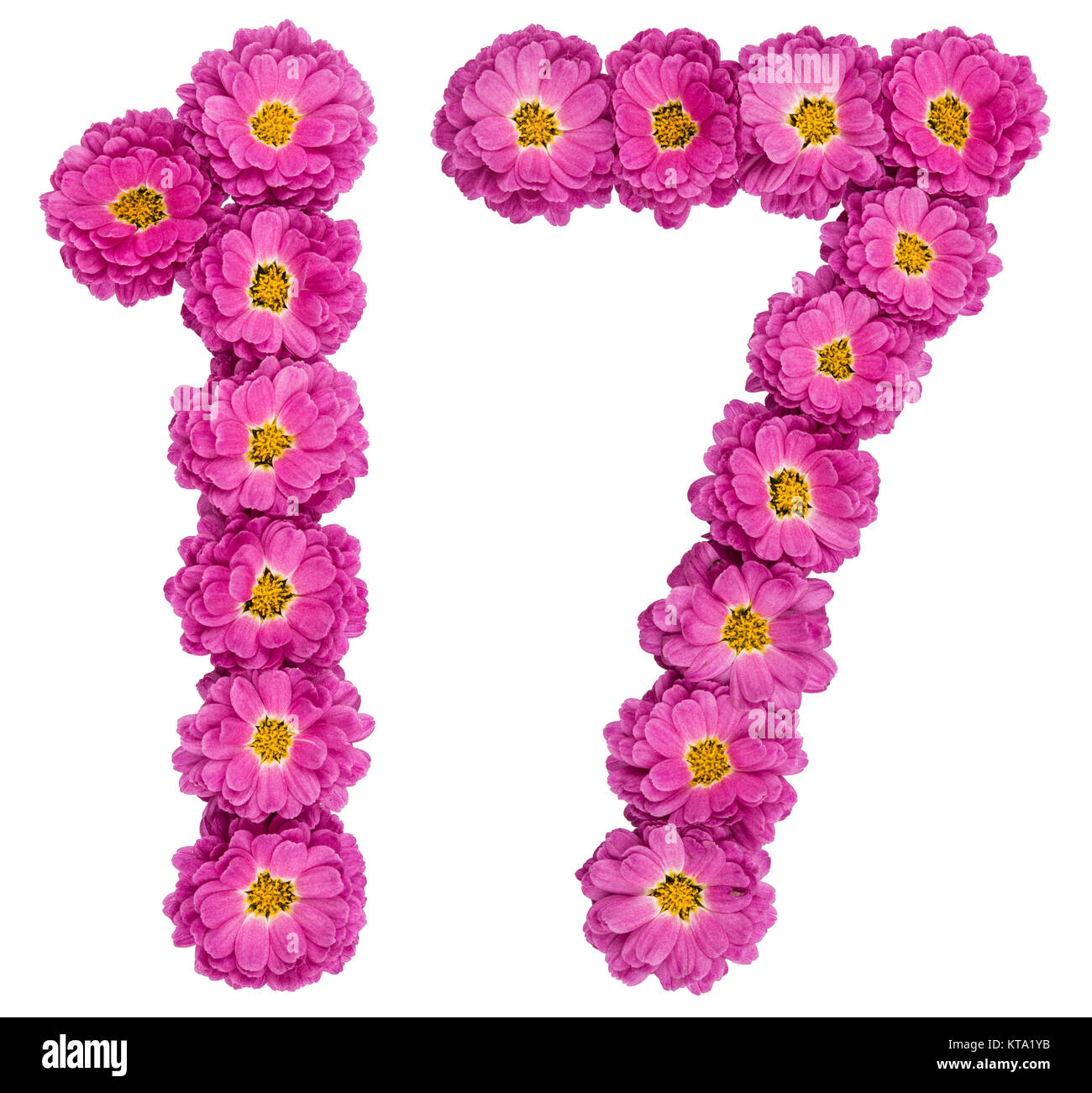 Arabische Zahlen 17, 17, von Blumen der Chrysantheme, auf weißem