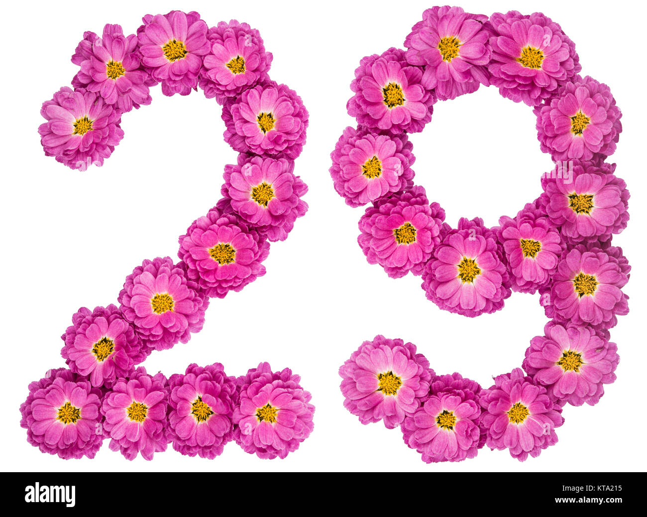 Arabische Zahlen 29, 29, von Blumen der Chrysantheme, auf weißem Hintergrund Stockfoto