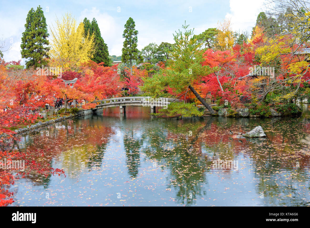 Bunte Bäume mit See im Herbst in Japan Stockfoto