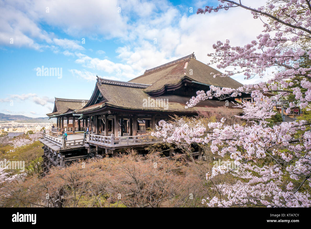 Kiyomizu-dera Bühne mit Kirschblüte in Kyoto. Stockfoto