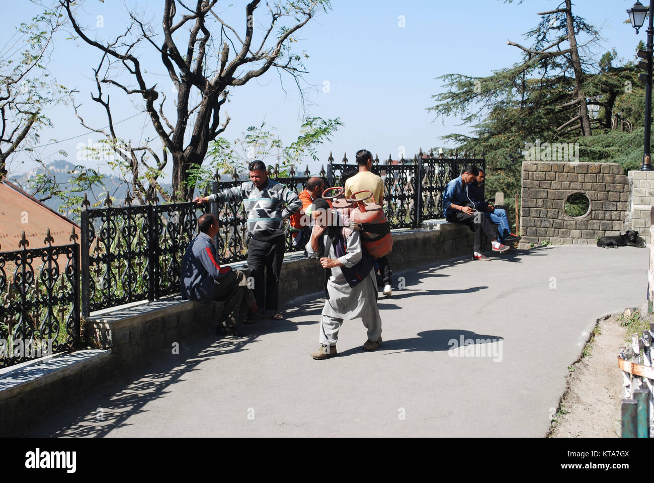 Ein Mann, der eine schwere Last auf dem Rücken durch die Straßen von Shimla. Stockfoto