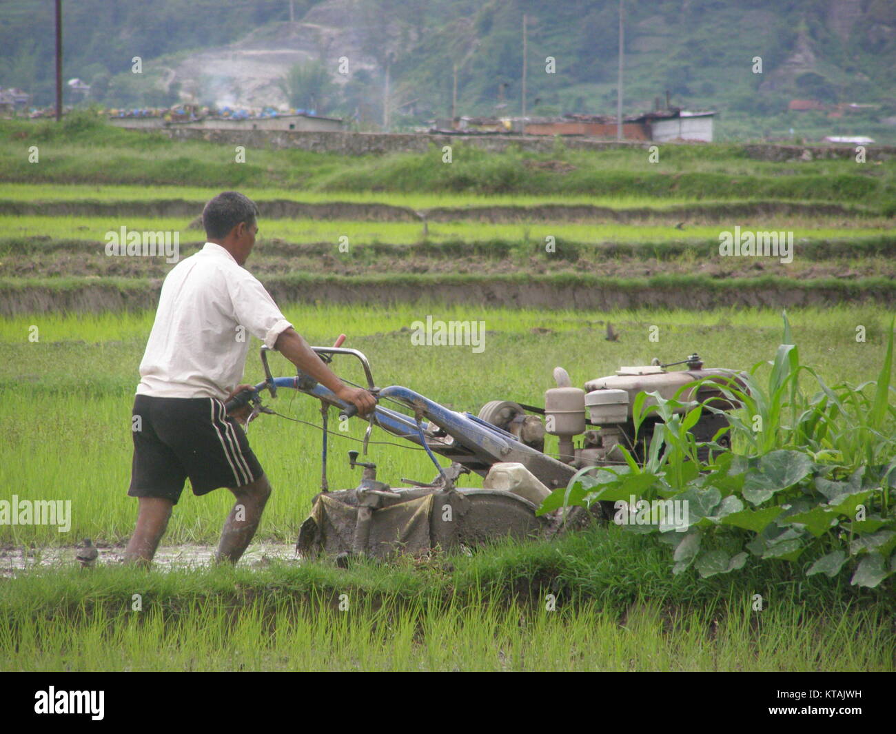 Die Kommerzialisierung der Landwirtschaft: Ein Landwirt mit Traktor zum Pflügen des Feldes. Stockfoto