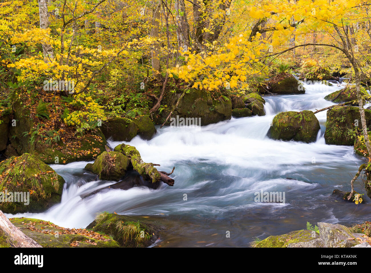 Oirase Bergbach Stockfoto